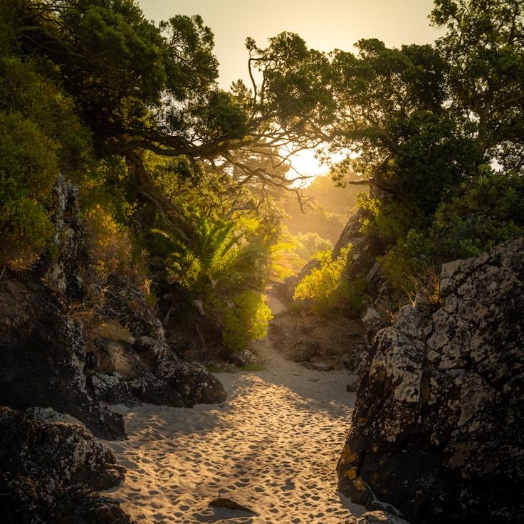 National parks landscape